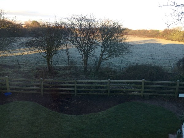 Shady characters - a permanent home for shade garden suggestions!