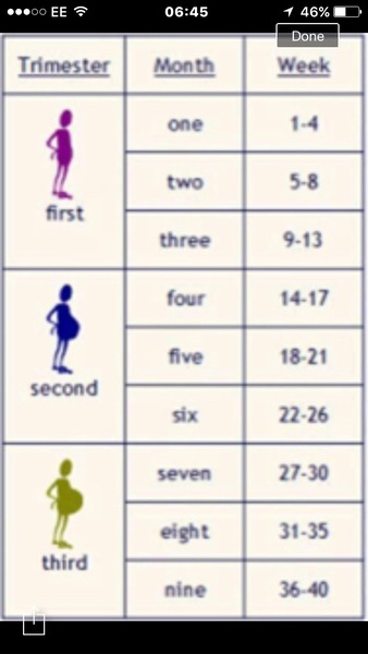 July 2016 (7) We're halfway to meeting our little bubs