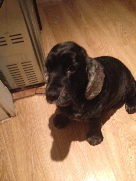 The Brave Babes Battle Bus - Battling The Wicked Wine Witch, One Day At A Time!