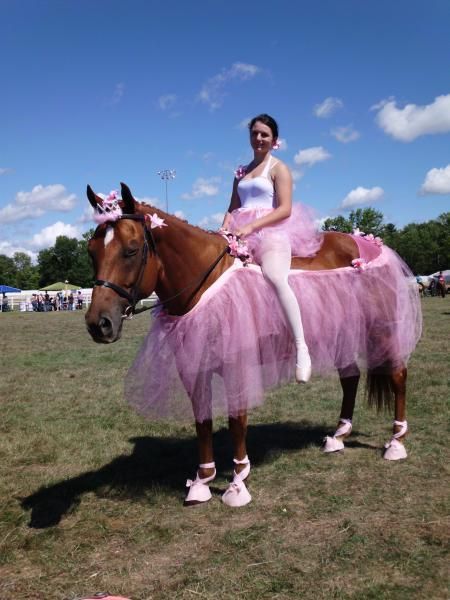 Who was BU, me driving or man on horse?