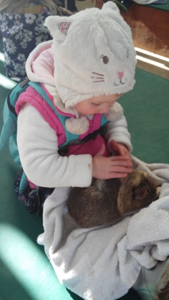 Tell us your stories about choosing a pet for a chance to win a £100 voucher for a pet shop of your choice