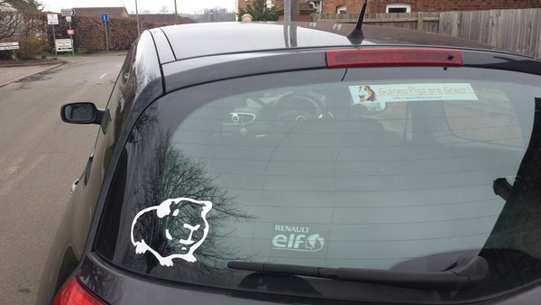 Help me convince DH we need some piggies