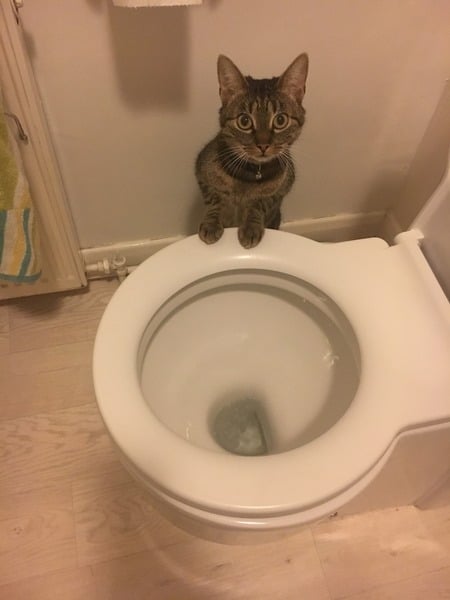 TTC after miscarriage - lucky thread number 3