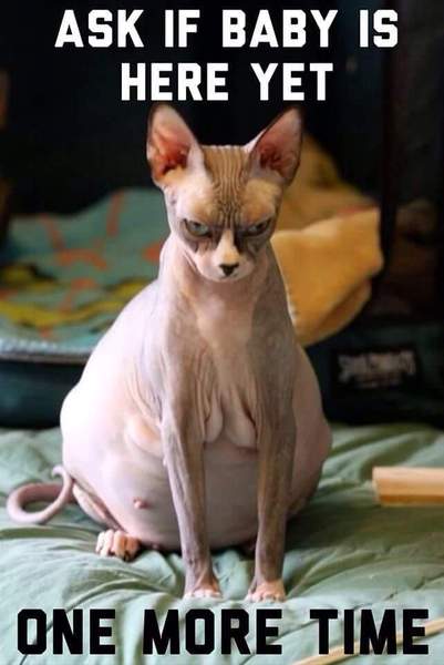 We've got newbies to cheer us on, the February Warm-Up is complete, after waiting nine long months it's only bloody time for March Madness! Welcome to JS thread no. 46!