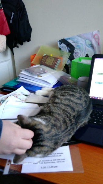 I'm trying to work, Apollo has other ideas