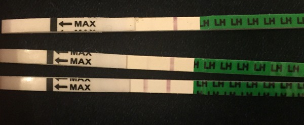 First time OPK User seeks advice!
