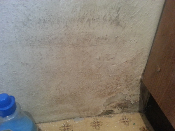 Advice on damp proofing a house before renting it out