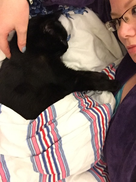 exciting Ollie update