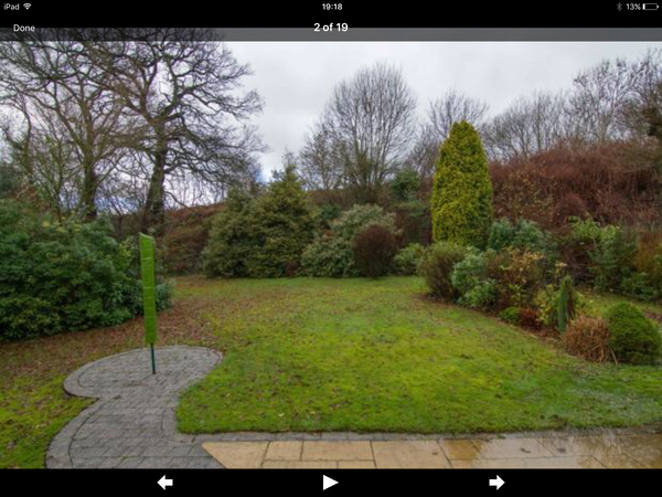 Advice on thorny but pretty bushes please?