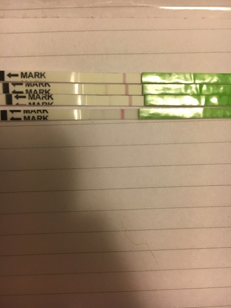 TTC after miscarriage - new thread