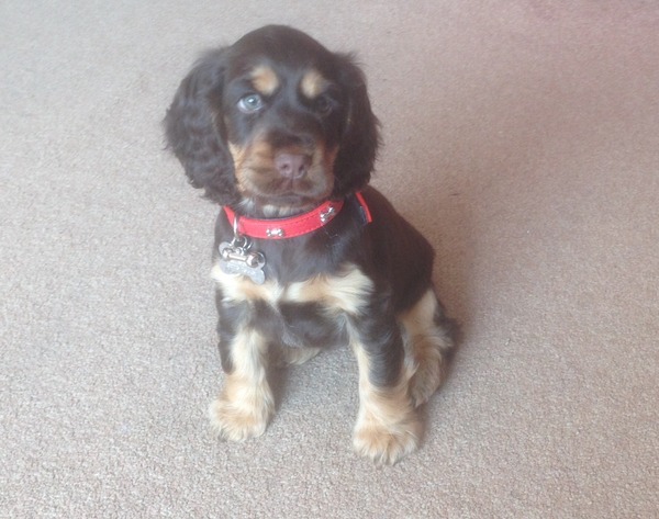 September 2014 - Babies turn 1!