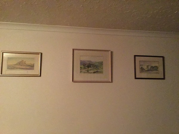 To show you all a painting I just bought?