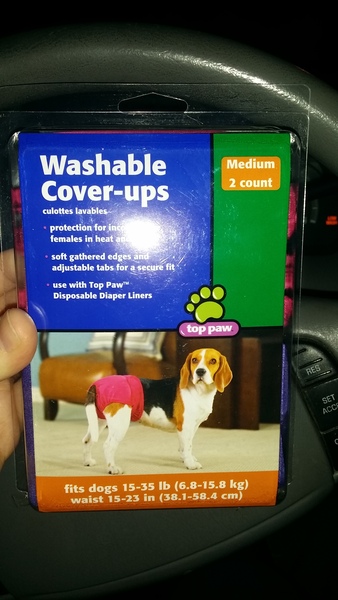To return puppy to breeder?