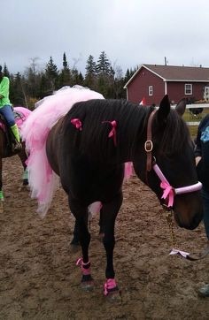 Who was BU, me driving or man on horse?