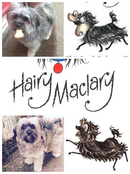 Share photos of your kids dressed up for World Book Day to win £100 book token + 10 official WBD books