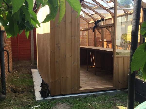 Allotment/Veg Patch Thread 5 - The Diggers Rest !