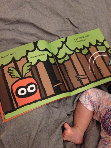 Book giveaway: Hoot Owl, Master of Disguise