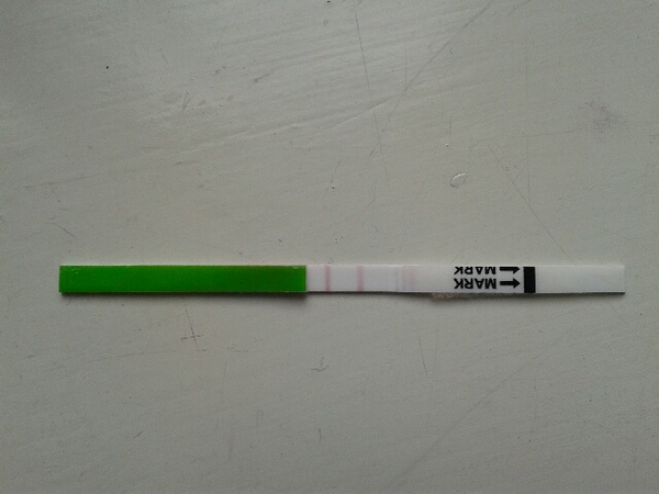 Donor IUI?