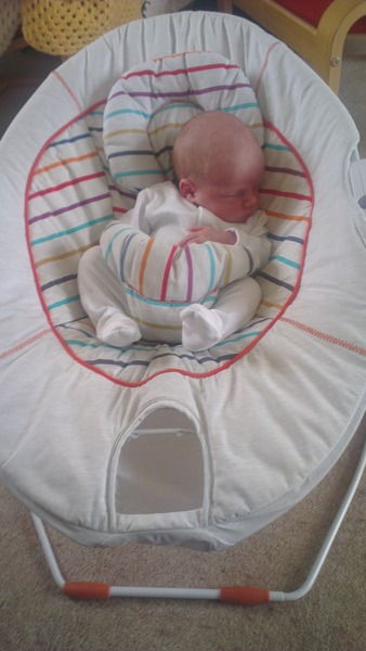 February 2016 - our babies are here!