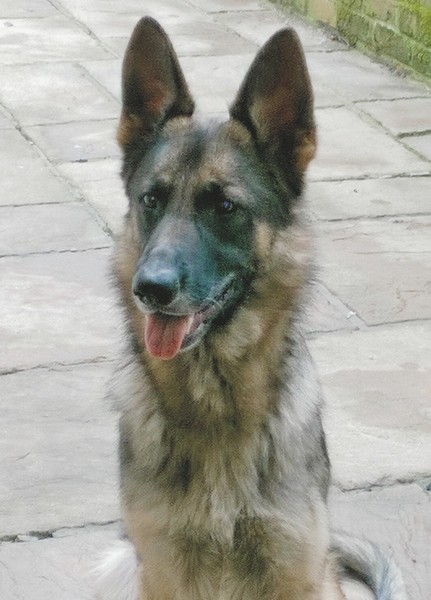 The Brave Babes Battle Bus - Battling The Wicked Wine Witch, One Day At A Time!