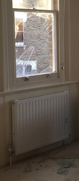 Need help with cleaning and decluttering...