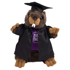 Has anyone got an offer from UCL for Sept 2016 start?