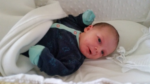 March 2016: the one where Indomitable gives birth...