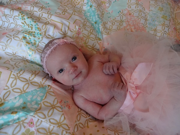 February 2016 - our babies are here!