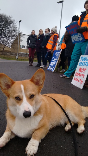 We have enjoyed jizzidents and jizznamis. We are fans of having a rummage and we are getting all the baby juice we can to keep the bfp boom going. Join us in JS 59!!!