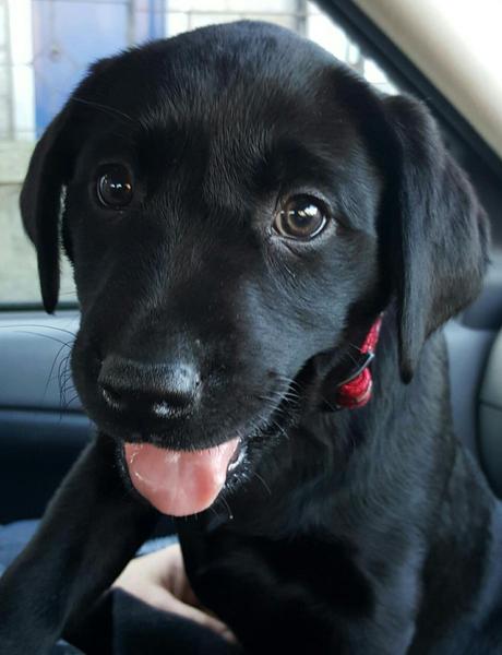 The Brave Babes Battle Bus - Battling The Wicked Wine Witch, One Day At A Time!