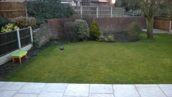 Please advise me on my back garden:)