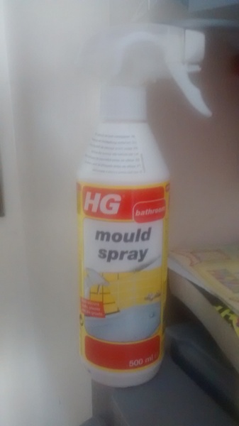 To hope I can stop the spread of the dreaded mould