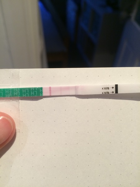 Thread 12 TTC#1"Trying is the fun part" said by nobody ever who's actually trying.