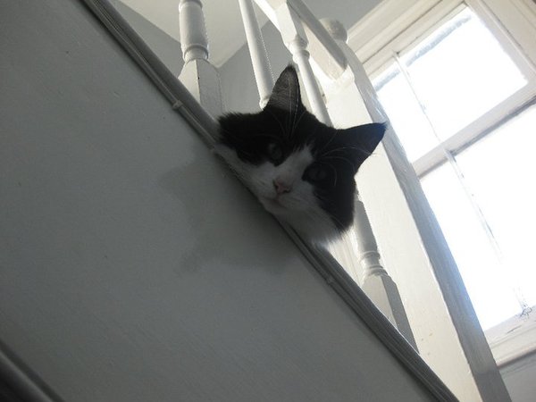 The Brave Babes Battle Bus - Battling The Wicked Wine Witch, One Day At A Time!