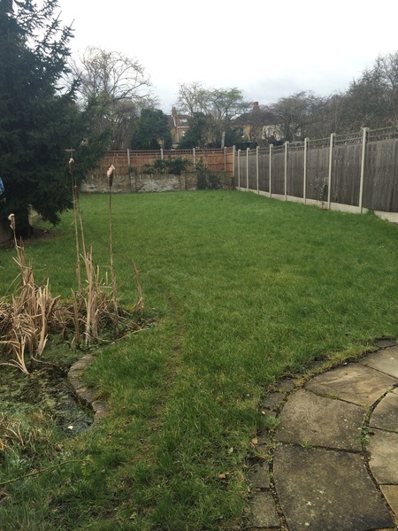 New garden planting design - advice please