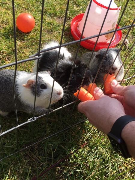 first grass day of the season!