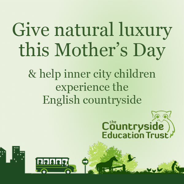 Introducing children to the great English countryside with Summerdown Naturally