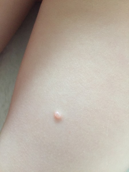 what is this!?