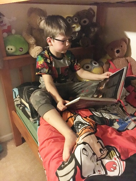DS wants to read Harry Potter but teacher thinks it'not his level.