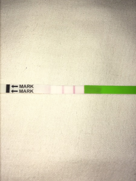 Positive OPK?