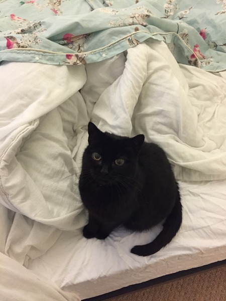 To think changing bedsheets once a week is ott