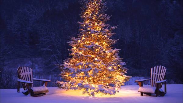 Christmas food and present shopping