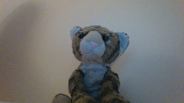 Lost toy