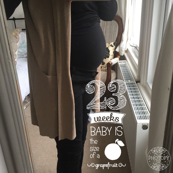 July 2016 (7) We're halfway to meeting our little bubs