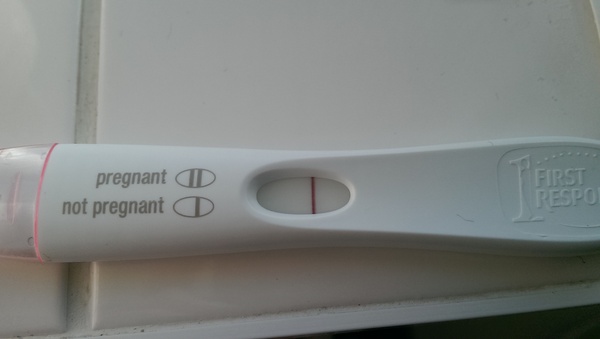Opinions on this frer please