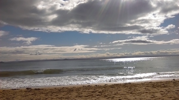 The Brave Babes Battle Bus - Battling The Wicked Wine Witch, One Day At A Time!