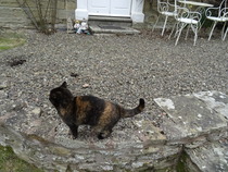 Zombie Continues Her Shuffle Into Spring