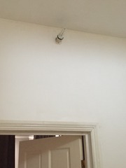 What kind of shade will fit this light fitting?