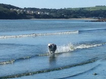 The Brave Babes Battle Bus - Battling The Wicked Wine Witch, One Day At A Time!