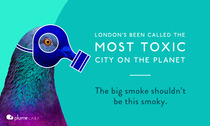 Click here if you're interested in either PIGEONS IN VESTS or air pollution!